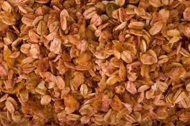 There is no reason why you cannot eat high fiber foods.as the matter of fact a high fiber diet is very valuable in protecting from gi disease. Basic Principles High Fiber Diet During Pregnancy