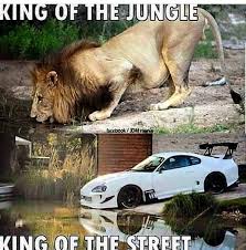 Facts Carmeme Carmemes Cars Gt Car Jdm Meme Memes Engine Jz Carlove Stance Autoliebe Tuning Sbrblg Fun Car Guy Memes Funny Car Memes Car Jokes