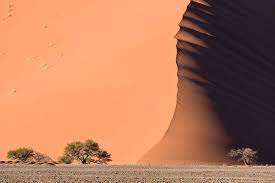 Pin By Mike Fletcher On Worldly Wonders Earthly Delights Mind Blowing Pictures Cool Photos Namib Desert