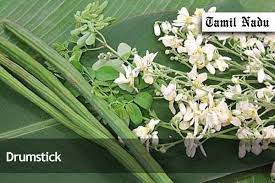 Drumstick Is Considered The Most Nutritious Plant On This Planet Its Leaves Are Rich In Vitamin A Vitamin B Vitamin C Moringa Moringa Tree Eatable Flowers