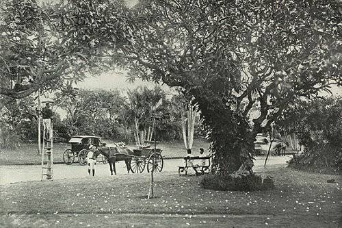 Malabar Hill, the remote settlement away from Mumbai city, and its tigers: Malabar Hill is one of the most affluent and elite localities in #Mumbai and in India. But, do you know
