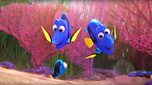 Check spelling or type a new query. Jump Into The Ocean With This Finding Dory Quiz Zoo