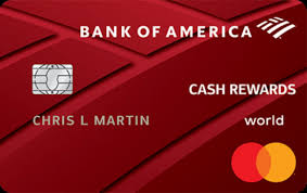 Business Debit Card Bank Of America E Card Video Hewan Lucu Lucu