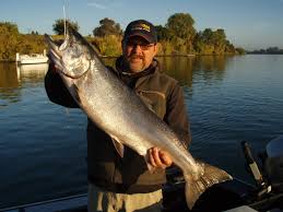 Monte verde lake fishing permit costs. Gold Country Fishing Sports Gold Country Sport Fishing