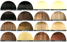28 Albums Of Loreal Ash Blonde Hair Color Chart Explore