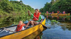 We did not find results for: Live Oak At 30 Fort Lauderdale Magazine