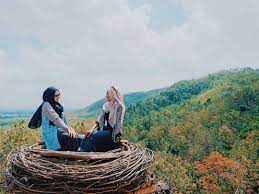 Detikcom mendapatkan bukti tiket masuk ke kawasan taman nasional komodo yang terbaru atau untuk tahun 2019. 10 Destinasi Wisata Di Jember Yang Keren Dan Instagenik