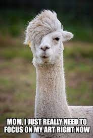 Please bookmark this page of funny animal pictures as we shall be adding more soon. 12 Most Funny Animal Pictures