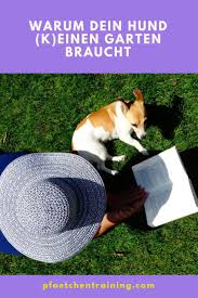 Ein Hund Braucht Einen Garten Pfotchentraining Hunde Hundchen Training Neuer Welpe