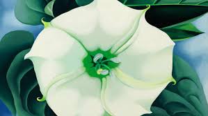 Georgia o'keeffe white flower painting. 9 Facts About Georgia O Keeffe The Mother Of American Modernism Be Loud A Yizzam Blog