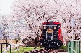 Mulai dari istana, kuil, gunung, sakura, hingga disneyland. 10 Tempat Menarik Di Kyoto Japan Azyyati Liah