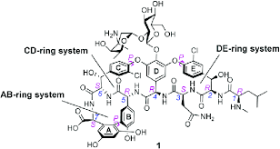Image result for Vancomycin
