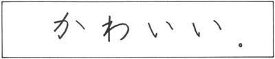 美しい (utsukushii) means beautiful, but it's a bit intense to say to other people in japanese. How To Say Pretty In Japanese