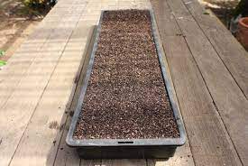 A comprehensive guide to growing vegetables and flowers from seed. Sowing Seed In Trays Pod Easy Edible Gardening