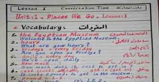 تحميل مذكرة منهج اللغة الانجليزية للصف السادس الابتدائي الترم الاول 2021 Vocabulary Lesson Bullet Journal