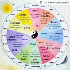 This is an age old question that is. Putere GranulÄƒ TurbinÄƒ Chinese Body Clock Chart Lmvdesigns Com