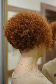 489 1 Short Curly Hair Curly Hair Styles Short Hair Styles