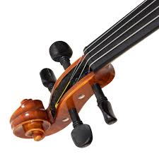 Image result for Viola eminii