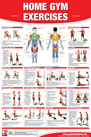 home gym exercises gym workout chart workout posters at