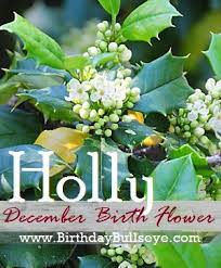 Each month a birthstone and a birth flower mean that a particular gemstone and flower are assigned to each month of the year. December Birthstones And Flowers Sacred And Secular Meanings December Birth Flower Birth Flowers Birth Month Flowers