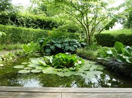 Zu viel nässe kann pflanzen im garten schädigen. Tag Der Offenen Gartentur Am 27 Juni Im Waller Land Und Daruber Hinaus Ww Kurier De