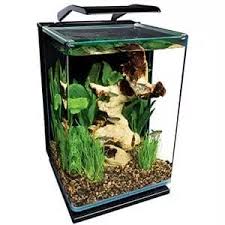 The Definitive Guide To Creating A Paludarium Tank Plants And Building Suggestions Fishkeeping World Aquarium Kit Aquarium Fish Tank Fresh Water Fish Tank