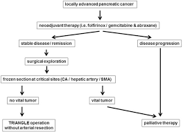 Doctors have identified some factors that may increase the risk of this type of cancer, including smoking and having certain inherited gene mutations. The Triangle Operation Radical Surgery After Neoadjuvant Treatment For Advanced Pancreatic Cancer A Single Arm Observational Study Hpb