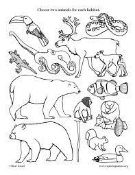 We did not find results for: Animals In Their Habitat Model Making K 2