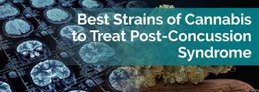 Best Strains Of Cannabis To Treat Post Concussion Syndrome Marijuana Doctors