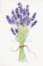 Lavender Watercolor Print Lavender Bouquet Print Of Original Painting Lavender Cards Watercolor Flowers Paintings Watercolor Flowers Flower Painting