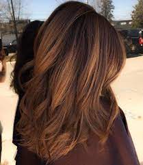 Dark Brown Hair With Golden Brown Balayage Chestnut Hair Color Hair Shades Chestnut Hair