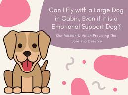 Can I Fly With A Large Dog In Cabin Even If It Is A Emotional Support Dog In 2020 Emotional Support Dog Emotional Support Emotional Support Animal