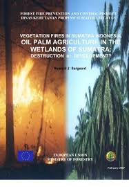Kscc stock chart and current price. Oil Palm Agriculture In The Wetlands Of Sumatra The Global Fire