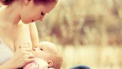 Does breast milk make babies smarter?
