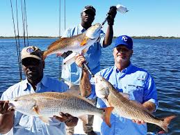 We did not find results for: Fishing In San Antonio Your Complete Guide