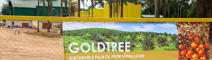 Goldtree Holdings Sierra Leone Linkedin
