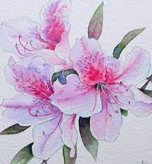 Azalea Original Watercolour Painting By By Theminervagallery Aquarela Arte Desenho