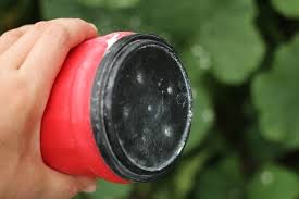 Whenever people hear about using diatomaceous earth, they're always unsure what to do. Diatomaceous Earth Uses In The Garden