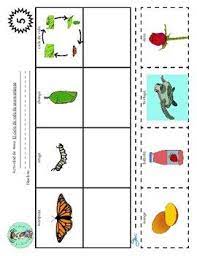 Pin On Bilingual Kindergarten Resources
