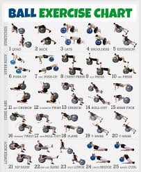 Exercise with cartoon vocabulary illustration,nectarine, and discover more than 18 . 10 Best Free Printable Workout Charts Exercises Printablee Com