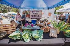 Hastings Fall Harvest Festival