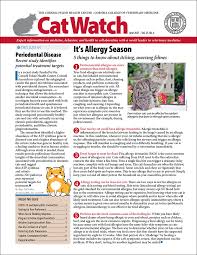 How long is a cat's lifespan these days? The Telling Sign Of Fatty Liver Disease In Cats Catwatch Newsletter