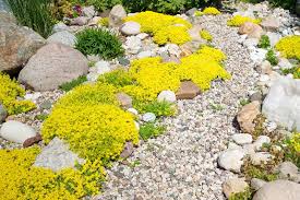 The rockery and water feature installation. 1 397 Rockery Design Photos Free Royalty Free Stock Photos From Dreamstime