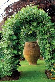 Everyday Spider Diy Garden Trellis Vegetable Garden Trellis Vegetable Garden Design