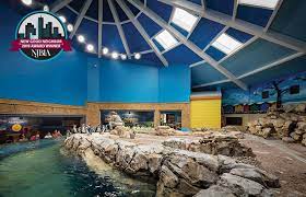 Our dedicated team of experts provide exceptional, compassionate care to the more than 1,800 animals that call our park home. African Adventure At Turtle Back Zoo A West Orange Wonder New Jersey Business Magazine