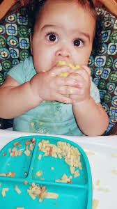 Traci Jacobs (@tracijacobs50)