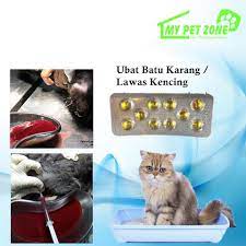 Proses flushing bagi kucing kencing berdarah. Ubat Batu Karang Kucing Urine Stone Lawas Kencing 10 Capsule Shopee Malaysia