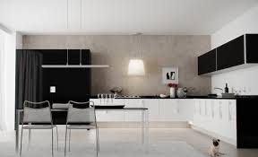 black white kitcheninterior design ideas.