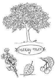 (based on keywords) beautiful coloring page for the earth day. Cherry Tree Colouring Page Tree Coloring Page Cherry Tree Tree Line Drawing