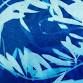 Cyanotype Workshop: Printing Memories with Light event image